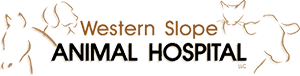 western slope animal hospital