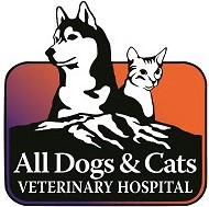 all dogs & cats veterinary hospital