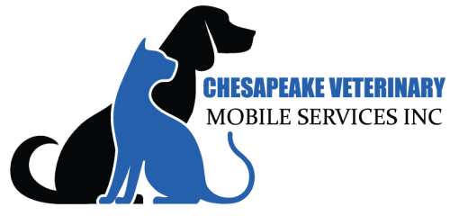 chesapeake veterinary mobile : mc kenzie dawn dvm
