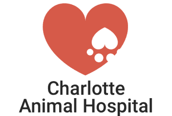 charlotte animal hospital