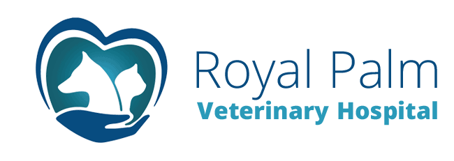 royal palm veterinary hospital
