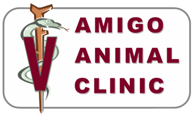 amigo animal clinic