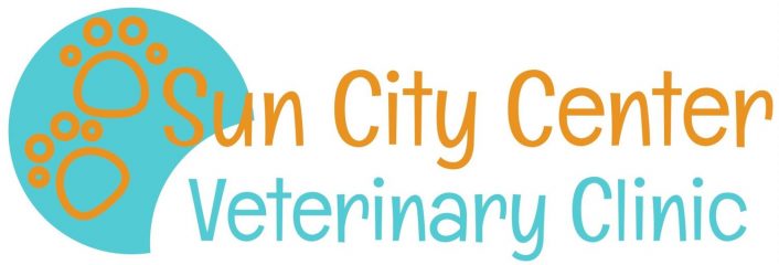 sun city center veterinary clinic