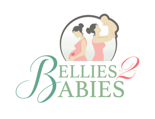 bellies-2-babies llc