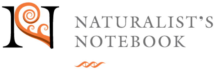 naturalist's notebook