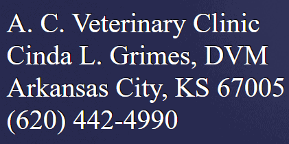 a c veterinary clinic
