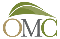 odom, moses & company, llp, cpas