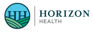 horizon health ems