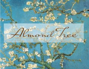 almond tree wedding boutique