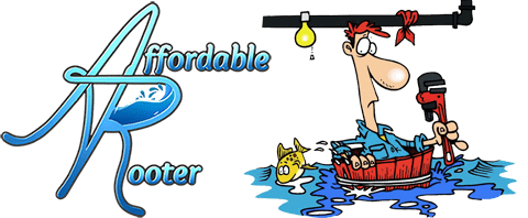affordable rooter