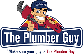 the plumber guy
