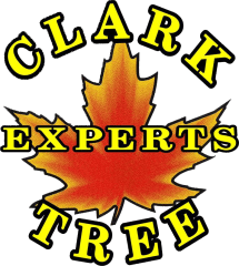 clark tree experts