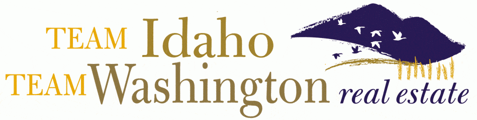 team idaho real estate, inc.