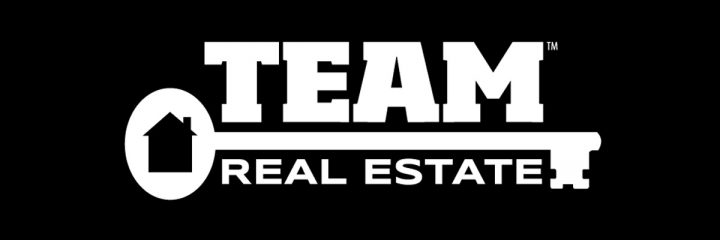 team real estate springfield