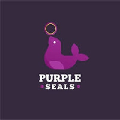 Purple Seals LLC - Houston, TX, US, buna n gasket material