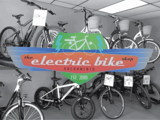 the electric bike shop