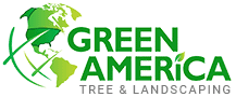 green america tree & landscaping - henderson