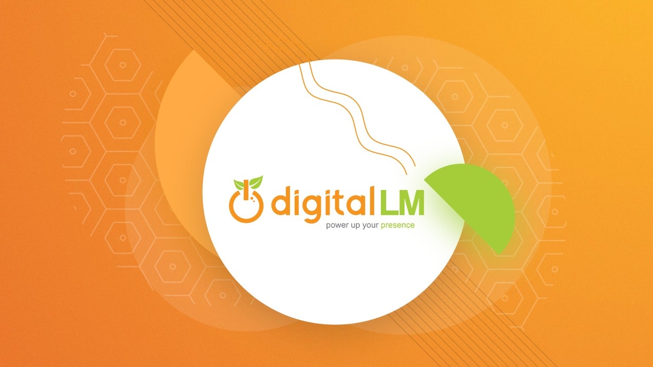 DigitalLM - Columbia, SC, US, website development