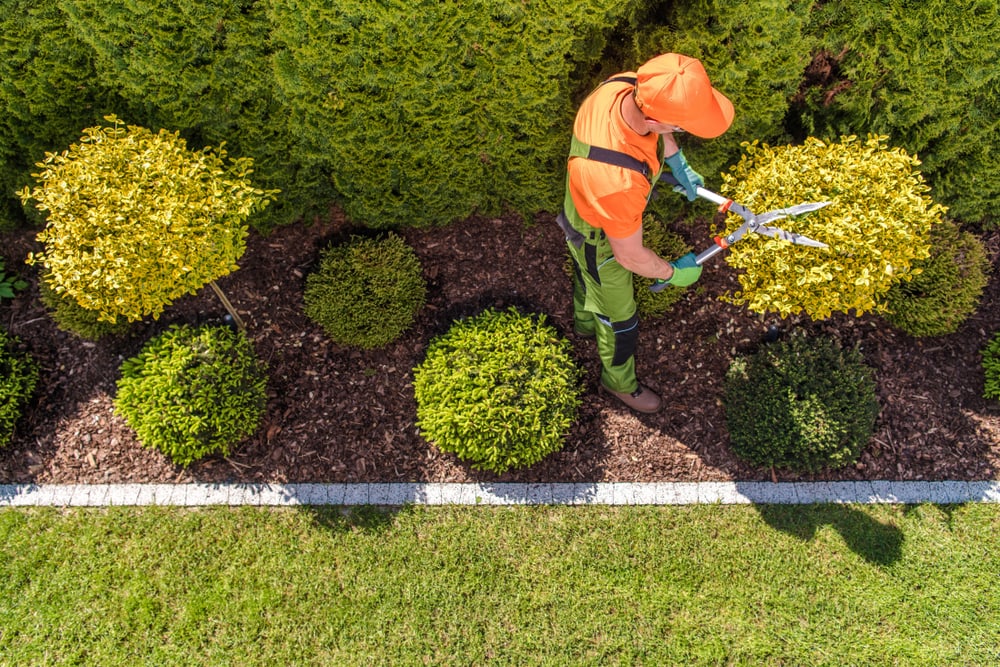 DFW Landscaping Service - Dallas, TX, US, landscaping services