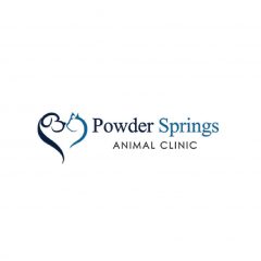 powder springs animal clinic