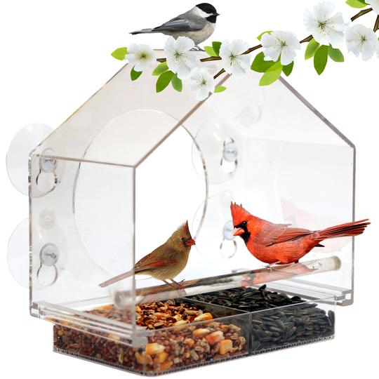 Seed Feeder for Birds - Nature Anywhere - Frankfort, KY, US, seed feeder for birds
