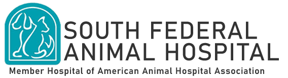 south federal animal hospital