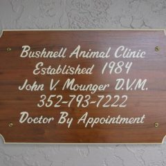 bushnell animal clinic
