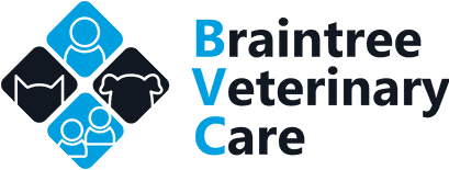 braintree veterinary care