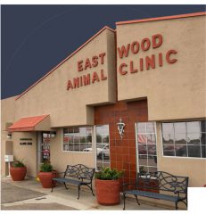 eastwood animal clinic inc
