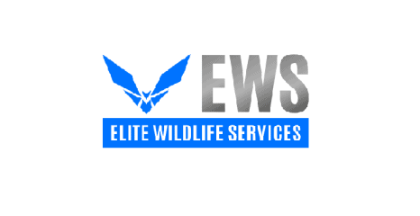 elite wildlife services