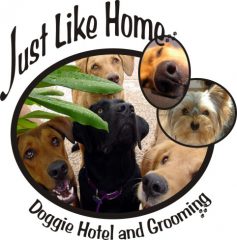 just like home doggie hotel and grooming