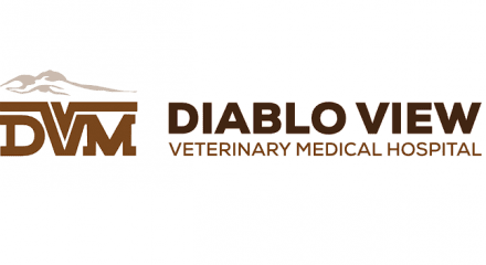 diablo view veterinary medical hospital