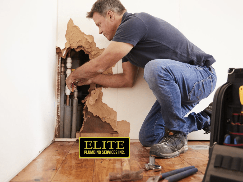 Elite Plumbing Services, Inc. - Palm Harbor, FL, US, emergency repair