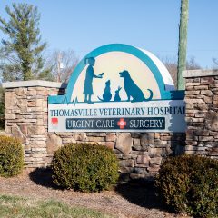 thomasville veterinary hospital