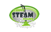carpet steam cleaner