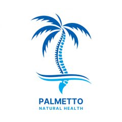 palmetto natural health, llc