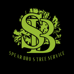 spear bro’s tree service