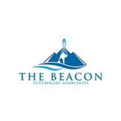 beacon veterinary associates