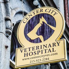 center city veterinary hospital