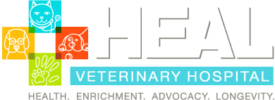 heal veterinary hospital pet rehabilitation