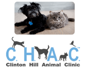 clinton hill animal clinic
