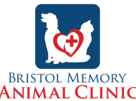 bristol memory animal clinic