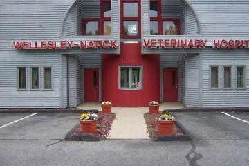 wellesley natick veterinary hospital
