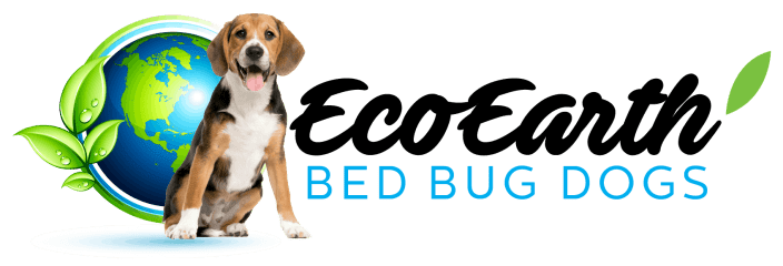 eco earth bed bug dogs