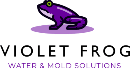 violet frog environmental