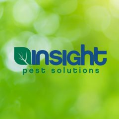 insight pest solutions new orleans