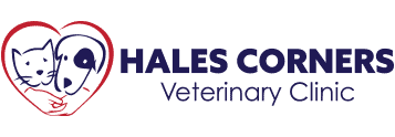 hales corners veterinary clinic