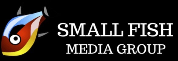 small fish media group web design and seo