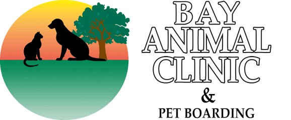 bay animal clinic