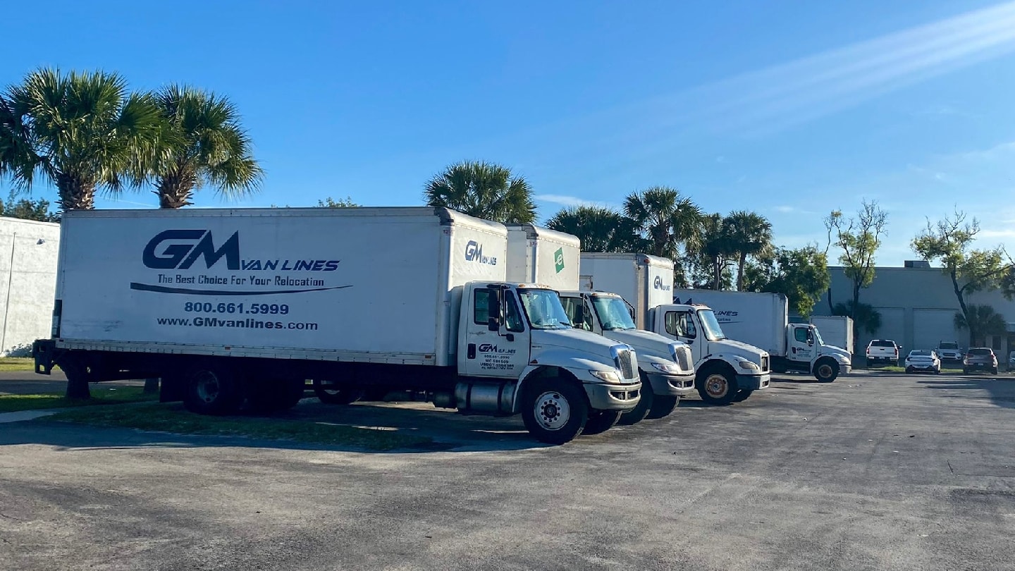 G M Van Lines Inc - Lauderdale Lakes, FL, US, moving services